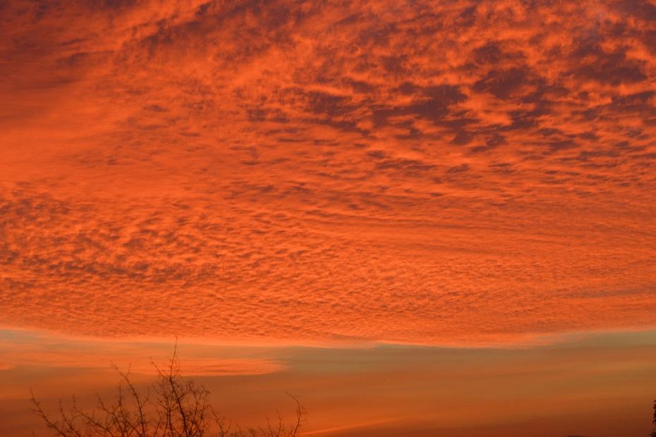 avisos nuevo 09 Jun - 37332